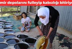 Malatya'da zahmetli yolculuk başladı! Kilosu 200 TL'den kapış kapış satılıyor: Sabah akşam 1 kaşığı kabızlığın kökünü kazıyıp demir depolarını fullüyor!