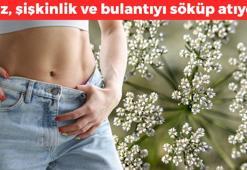 Sabah akşam 1 bardak içmek yetiyor! Gaz, bulantı, şişkinlik ne varsa söktürüp karnı dümdüz yapıyor! Doğal ağrı kesici