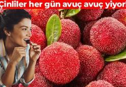 Halk arasında kocayemiş olarak da biliniyor! Türkiye’de kıymetini bilen yok ama Çinlilerin şifa deposu: Limon ve portakaldan 2 kat fazla C vitaminine sahip