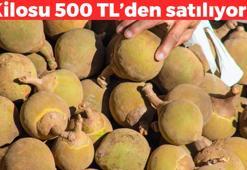 Doğanın C vitamini kralı! Kilosu 500 TL: Potasyum ve magnezyum depolarını fulleyen doğal tansiyon ilacı