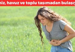 Yazın vakalar pik noktaya ulaşıyor, belli yaşlar için ölümcül risk taşıyor! Bu belirtiler varsa aman dikkat!