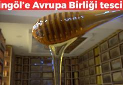 Avrupa Birliği'nin tescillediği Bingöl mucizesi! Kilosu 500 TL: Bir parça zencefil katınca kolesterolü damardan kazıyıp bağışıklığı çelik gibi yapıyor!