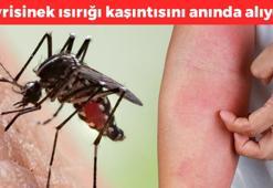 Sivrisinek ısırığı kaşıntısını anında geçiriyor! 1 damla sürmek bile yetiyor, cildi de pamuk gibi yapıyor