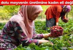 Depremzede kadınların geçim kaynağı oldu! 100 gramı vücudu C vitaminine boğuyor: Kolajen üretimini destekleyip kan şekerini dengeliyor
