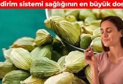 Padişahların vazgeçilmez baharatı! Dünyada doğu bitkisi olarak da biliniyor: Gaz ve şişkinliği bitirip vücudu pamuk gibi yapıyor