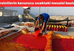 Mersinliler kavurucu sıcakta talebe yetişemiyor! Kilosu 250 TL: 3 yıl bozulmadan duran tek besin, damarları anında genişletiyor! Demir, kalsiyum ve potasyum zengini
