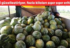 1 porsiyonu günlük C vitamini ihtiyacını karşılıyor! Tokluk hissi vererek vücuttaki yağları şıpır şıpır eritiyor, kolesterol seviyelerini yere çakıyor, sindirimi destekliyor