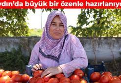 Efeler Diyarı’nda kışlık gıda telaşı başladı! Aydın’ın kavurucu sıcağını fırsata dönüştürüyorlar: Yıl boyu yiyebileceğiniz birbirinden lezzetli tarifler