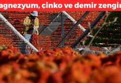 Gaziantep'ten dünyaya kilo kilo satılıyor! Yemeklere 1 avuç atmak yetiyor: Magnezyum, çinko ve demir zengini, bağırsakları motor gibi çalıştırıyor!