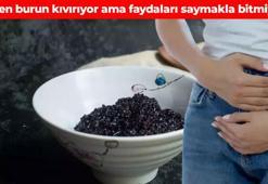 Tüm dünyada kapış kapış alınıyor Türkiye’de kıymetini Düzceliler biliyor: Demir, magnezyum, çinko, ne ararsan onda