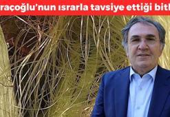 İbrahim Saraçoğlu kolesterolün baş düşmanını açıkladı: Günde 2 bardak için, farkı görün! Böbrekleri de diyalizden kurtarıyor