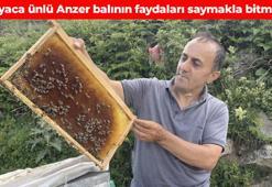 Coğrafi işaretli lezzetin kilosu 4 bin lira oldu! Vücuda girdiği anda format atıyor: Enerji depolarını fulleyip vitamin yüklemesi yapıyor
