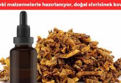 Evdeki böcekleri anında uzaklaştırıyor! Sivrisinek sorununun kökünü kurutuyor, 1 damlası bile böcekleri ve sinekleri yok ediyor