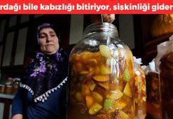 Bağırsakları harıl harıl çalıştırıyor! Basura iyi geliyor, şişkinlik ve hazımsızlığın kökünü kurutuyor, C vitamini deposu, dünyanın en eski doğal antioksidanı