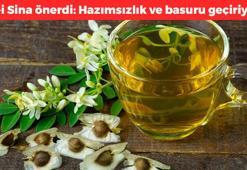 İbn-i Sina önerdi: öksürüğü anında kesmek mümkün! Bir tutamı bile yetiyor, bağışıklığı dipçik gibi yapıyor, bardak bardak içinde 10 yıl hastalanmazsınız