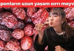 Japonlar avuç avuç yiyor! Kilosu 250 TL: Doğadaki en güçlü antioksidan, yağlanmış karaciğeri yeniden doğmuş gibi yapıyor!