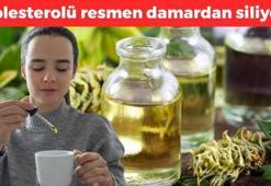 Bakteri ve mantarların kökünü kazıyor! Dünyanın en güçlü antioksidanı: 1 damlası kolesterolü damardan siliyor, ömrü 10 yıl uzatıyor!