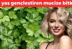 Tek gecede 10 yaş gençleştiriyor! Bardak bardak içince akne ve sivilcelerin kökünü kurutup gözenekleri sıkılaştırıyor, kırışıklıkların düşmanı!