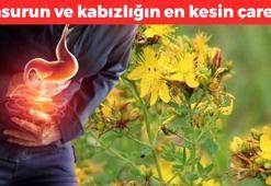 Yüzyıllardır kullanılan şifa: Ülser, kabızlık ve gastriti anında geçiriyor! Çayını yapıp bardak bardak için, basurun en kesin çaresi!