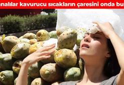 Tanesi 15 TL’ye düştü! Kavurucu sıcakların vazgeçilmezi oldu: Bağırsakları motor gibi çalıştırıp vücuda C vitamini yüklüyor