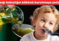 Tıkalı bağırsakların çözümü meğer oymuş! Bağırsakları lavabo gibi açıyor,  zeytinyağını tahtından indiriyor, 1 kaşığı bile anında tuvalete çıkarıyor