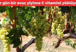 Kilosu 27 TL'ye düştü! Denizli'de hasadı başladı, tam bir vitamin deposu, bağırsakları çok hızlı çalıştırıyor, basuru tedavi ediyor