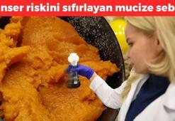 Bilim insanları etkisini kanıtladı! Dolapta çürüyüp çöpe atılıyor ama her gün yiyince kanser riskini sıfırlayıp kolesterolü düşürüyor, kabızlığın kökünü kurutuyor!