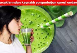 Yaz yorgunluğunun çözümü bulundu! 1 bardağı bile mucizelerle dolu: Metabolizmayı harekete geçiriyor, vücudun su ve vitamin ihtiyacını gideriyor, bardak bardak içmek yetiyor