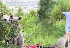 Şoke eden anlar kamerada! Ayılar sofrayı bastı