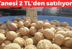 Tanesi 2 TL'den satılıyor! Avuç avuç yiyince kolesterolü damardan siliyor, kemikleri beton gibi yapıyor! Omega-3'te balığı sollayan tek besin