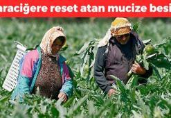 Türkiye'den dünyaya kapış kapış satılıyor! Doğal antibiyotik, 1 lokması karaciğere reset atıyor! Doğanın 'detoks ajanı' olarak biliniyor