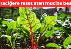 Türkiye'den dünyaya kilo kilo satılıyor! Beyni 10 yaş gençleştirip karaciğere reset atıyor! Kemikleri çelik gibi güçlendiren doğal tansiyon ilacı