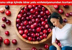 1 bardağı idrar yolu enfeksiyonuna son veriyor! Bağışıklık sistemini güçlendiren doğal sır: İdrar yollarını çamaşır suyuyla temizlemiş gibi yapıyor, hastalıklarla mücadele ediyor