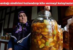 Kilosu 5 TL'ye düştü! Adana'da hasadı devam ediyor, kolesterol seviyelerini yere çakıyor, tam bir antioksidan deposu, doğal antibiyotik