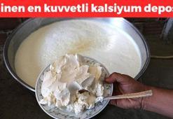 Yüzlerce yıldır şifa dağıtıyor! Bilinen en güçlü kalsiyum deposu, kemikleri beton gibi yapıyor! Proteinde eti solluyor