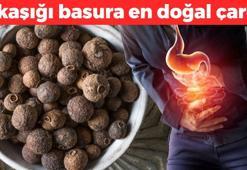 1 kaşık yutmak yetiyor! Basura en doğal çare, kan damarlarını genişletip kabızlığın kökünü kazıyor! Doğal ağrı kesici