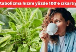1 bardağı metabolizma hızını yüzde 100'e çıkartıyor! Vücudu toksinlerden arındırıp iltihabın kökünü kazıyor, mide kramplarını geçiriyor!