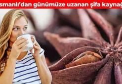 Osmanlı padişahlarının doğal şifa kaynağı! Faydasını duyan aktardan poşet poşet alıyor: Midedeki şişkinlik ve gazdan bir çırpıda kurtarıyor