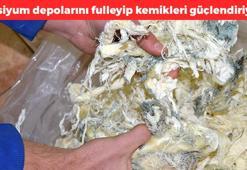 Turistler kapış kapış alıyor! Japonların favorisi, Türkiye'den tüm dünyaya satılıyor, kemikleri beton gibi yapıyor, kalsiyumun kralı, kolesterolü yere çakıyor
