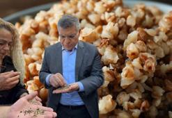 Sinop'un kara elması! Vücudu magnezyum, fosfat ve demire boğuyor: Kemikleri demir gibi güçlendirip, kolesterolü anında düşürüyor