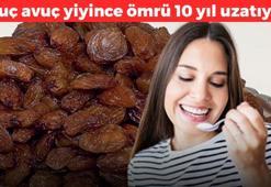 Avuç avuç yiyince bağırsakları çalıştırıyor! Kabızlığı 5 dakikada yok ediyor, ne dert kalıyor ne tasa, kalsiyum kralı