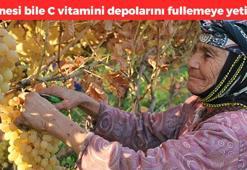 Kilosu 16 TL'ye düştü! Kilis'te kavurucu sıcakta hasadı devam ediyor, halk arasında horoz karası olarak biliniyor, C vitamini deposu, vücuda reset atıyor