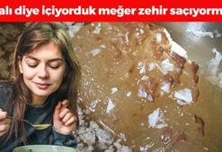 Şifalı diye ayıla bayıla yiyoruz ama ölmekten beter ediyor! Zehir saçıp böbrekleri mahvediyor, kurşun detayına aman dikkat!