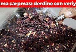 Aktarda kapanın elinde kalıyor: Klima çarpmasını geçiren mucize karışım! Bağırsakları boşaltıp kemikleri beton gibi yapıyor!
