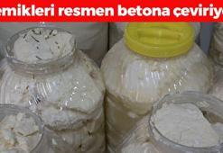 Turistler kapış kapış alıyor! Bitlis'ten tüm ülkeye yayılan lezzet: Kalsiyum oranı en yüksek besin, kemikleri beton gibi yapıyor!