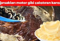 İçine 1 kaşık eklemek yetiyor! Bağırsakları motor gibi çalıştırıp demir depolarını fullüyor! Kemikleri çelik gibi yapıyor