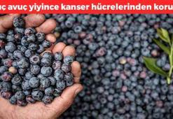 1 porsiyon yemek kanserden koruyor! Vitamin kralı olarak biliniyor, vücuda enerji yüklemesi yapıyor, antioksidan deposu