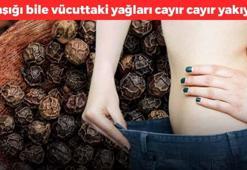 4 kat hızlı bir metabolizma hayal değil! İşte 3 saat boyunca yağ yaktıran besinler, yağları mum gibi eritiyorlar