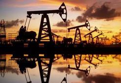 Türkiye'de ham petrol ve doğal gaz çıkarmada rekor geldi! Bakan Bayraktar'dan ilk yorum