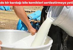 Çinlilerin favorisi! Peynirden ve yoğurttan bile daha fazla kalsiyum içeriyor, kemikleri beton gibi yapıyor, kalsiyum depolarını sonuna kadar dolduruyor